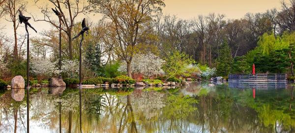 Spring Creek Development Group