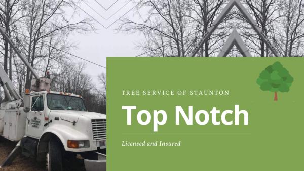 Top Notch Tree Service