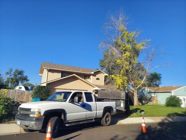 Roy's Tree Services
