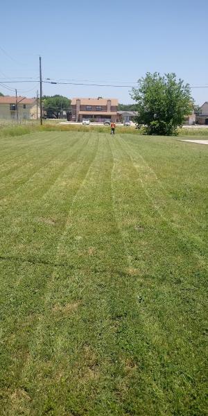 Daniels Yards