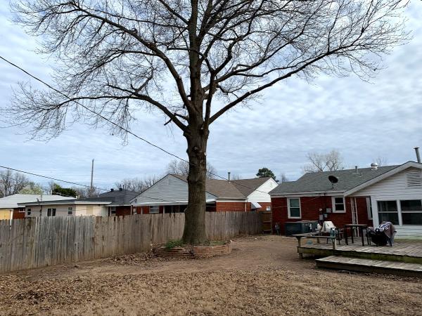 Affordable Tree Service LLC