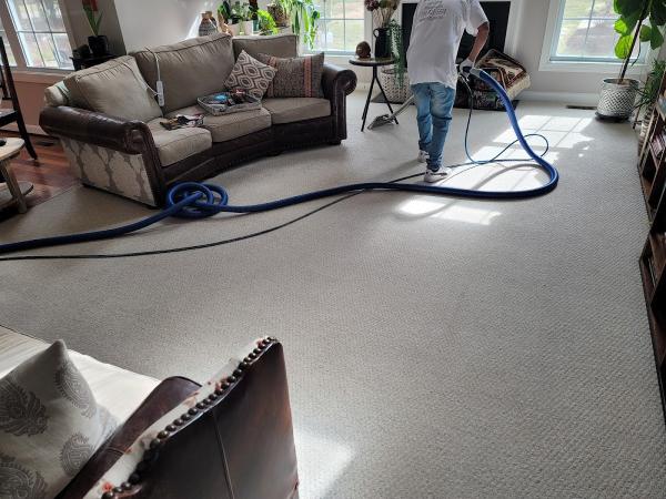 Mica Carpet & Upholstery Cleaning