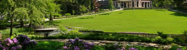 S&T Landscape Services