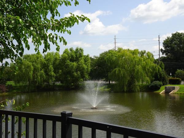 Cedar Manor Luxury Rentals
