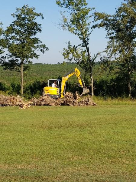 Overgrown Land Management