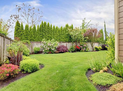 Integrity Pressure Washing and Lawn Care