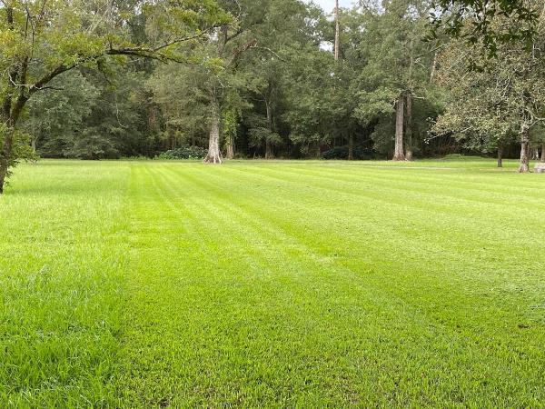 Snider Lawn and Landscape