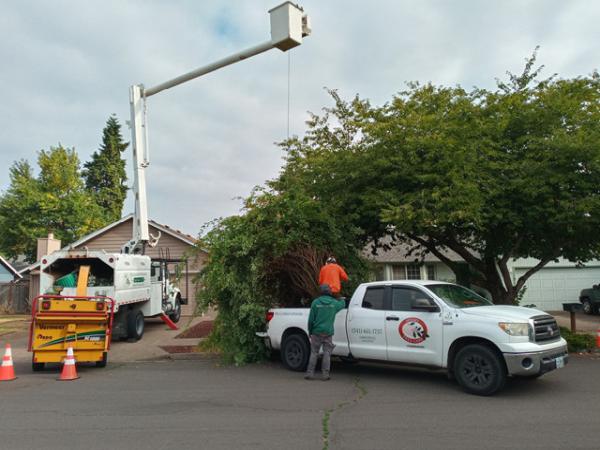 Sperry Tree Care Co