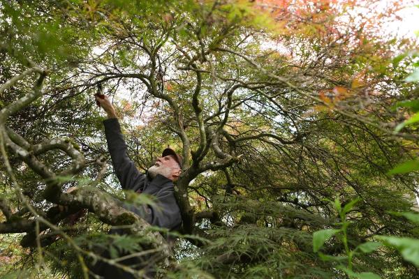 Sperry Tree Care Co