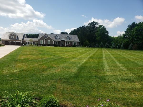 Edin Landscaping and Design