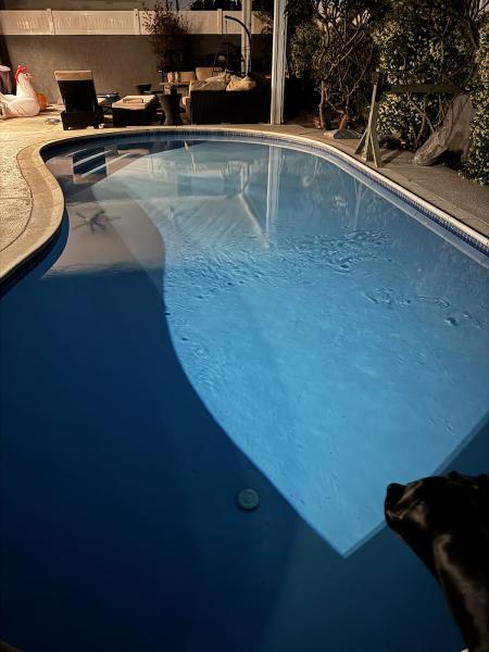 Top Rated Pool Care