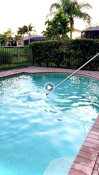 Pool Cleaners Express