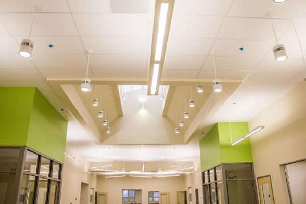Acoustic Ceiling & Partition