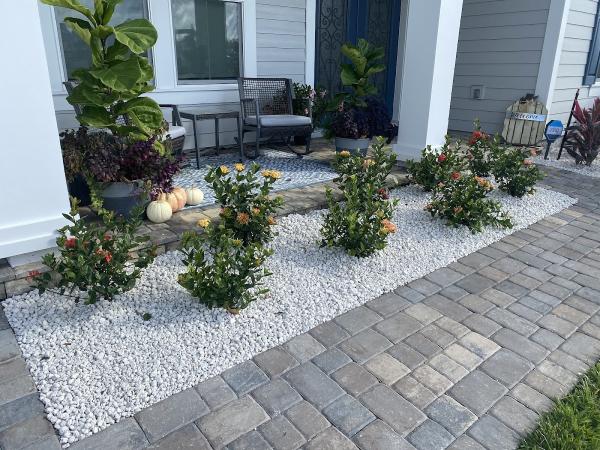 Coconut Grove Landscape & Design