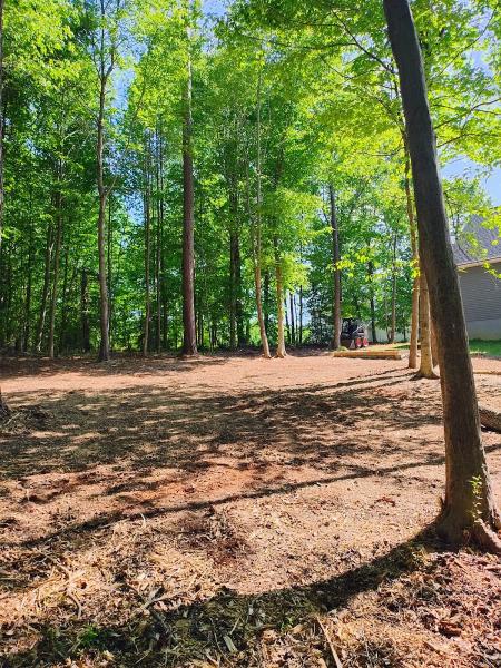 Blue Ridge Tree Experts Llc