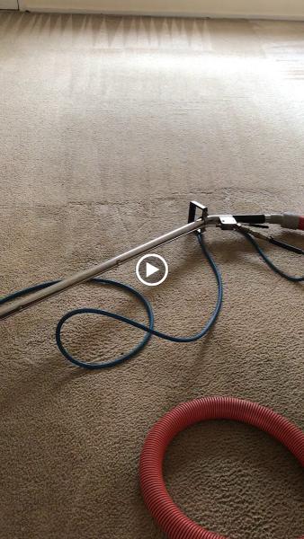 Mr. Vacc Carpet Cleaning