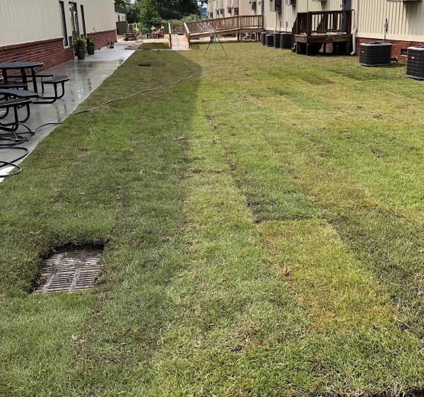 M&M Landscape Management