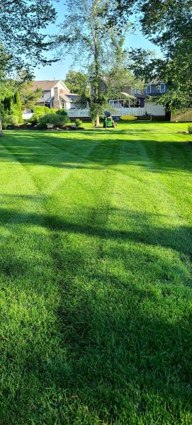 Bv's Snowplowing/ Bv's Landscaping/Bv's Snowplowing Corporation