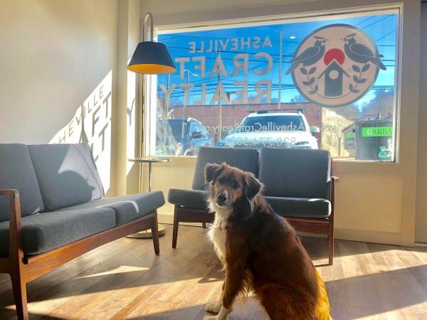Asheville Crafted Real Estate