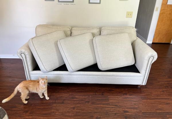 AAA Carpet & Upholstery Cleaning