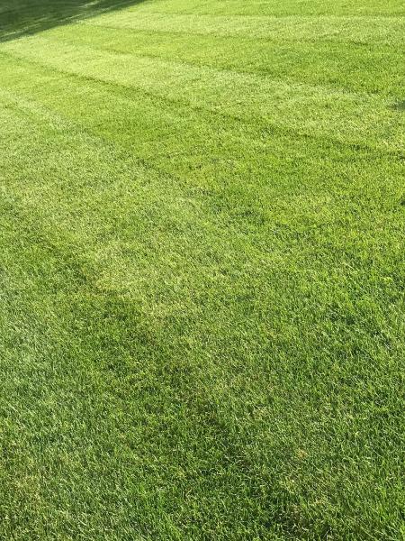 Easier Grounds Management