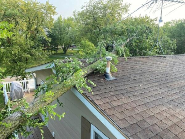 Will's Top Notch Tree Service