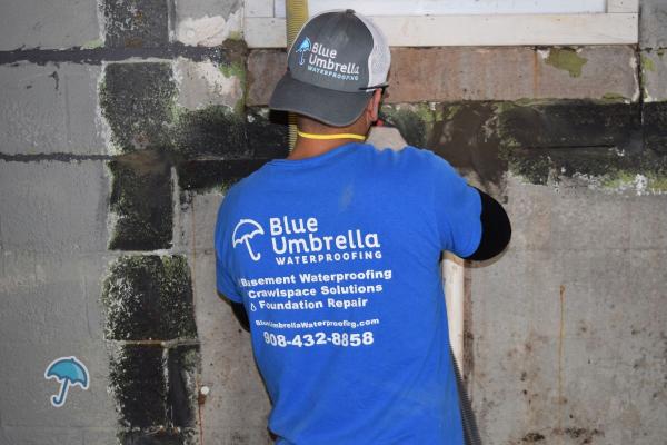 Blue Umbrella Waterproofing