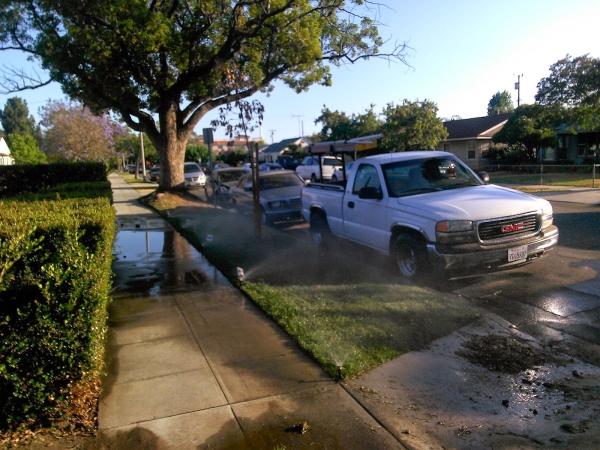 Pros Gardening Service