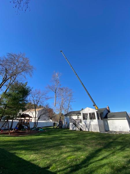 Chuck's Tree Service
