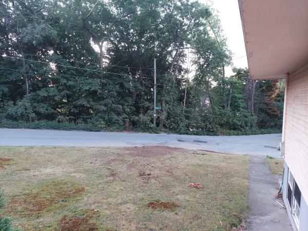 Chuck's Tree Service