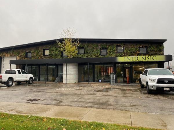 Intrinsic Landscaping