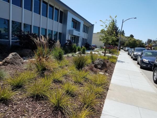 Drake Design Landscape Architecture