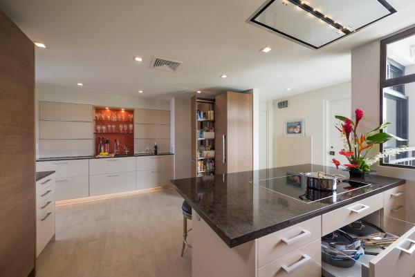Dangler Design- Leicht Honolulu