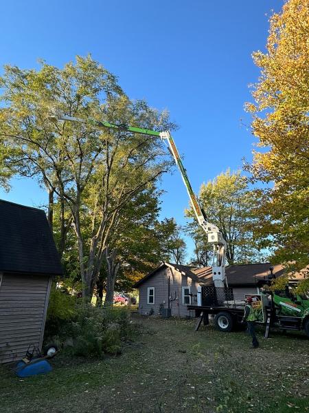 Kevins Tree and Landscaping