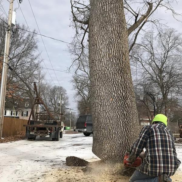 Highplains Tree Service