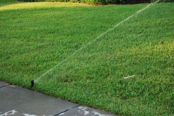 Scattered Showers Irrigation & Landscape Maint.