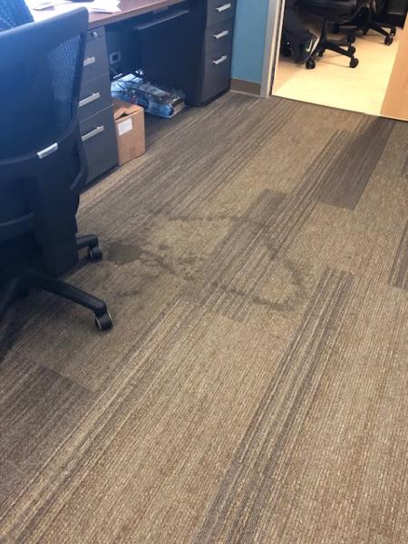 No More Dirt