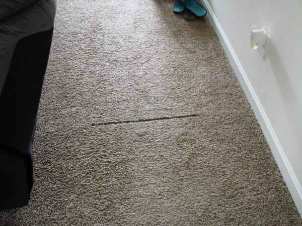 Tech Flooring Services (Carpet and Flooring Inspector)