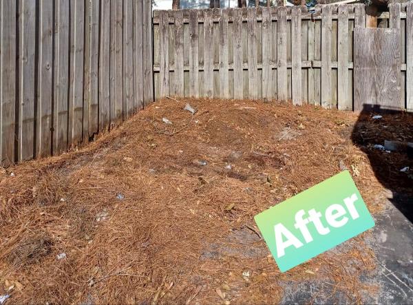 Bold City Junk Removal