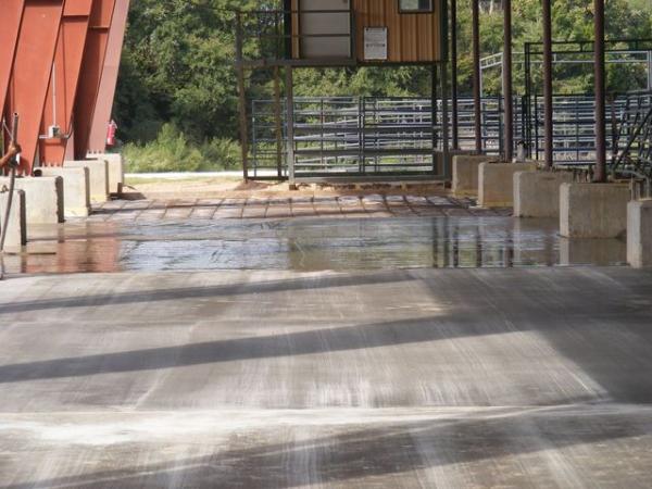 Corey's Concrete Construction