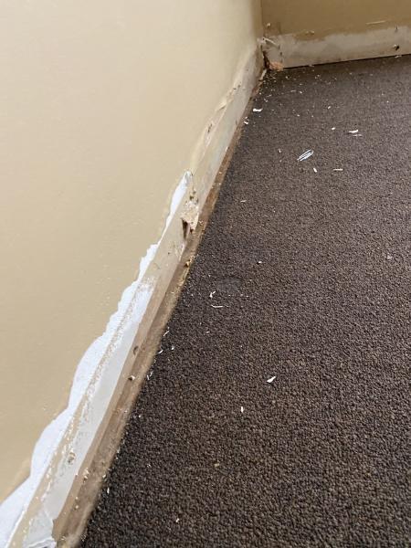 Cleanway Restoration & Construction