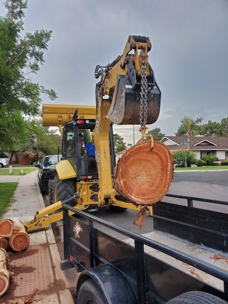 Mesa Tree Removal