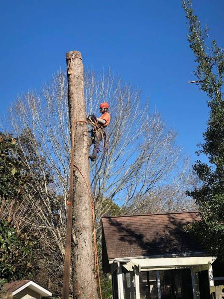 Andrew's Outdoor Services