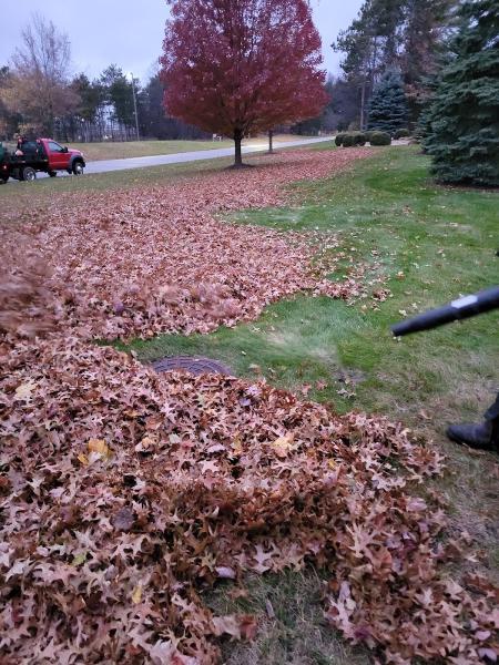 Dale's Mowing Services
