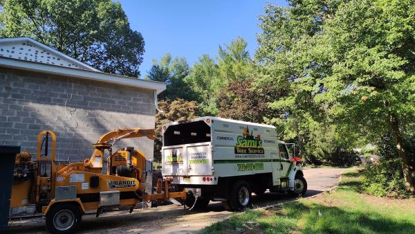Sami's Tree Service