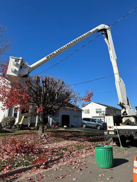 Sami's Tree Service