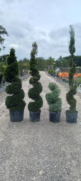 Total Maintenance Landscaping