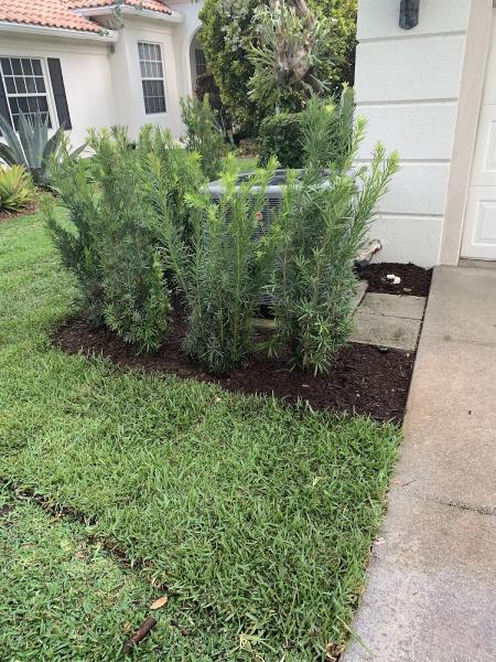 Total Maintenance Landscaping