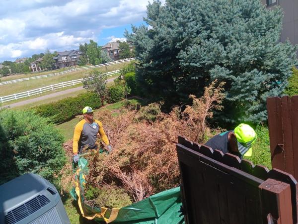 Colorado Trash Removal