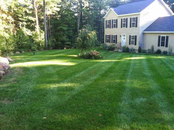 Total Grounds Landscape